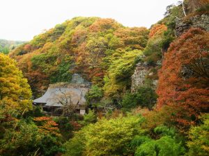 Nunobiki_Kannon_2008-11